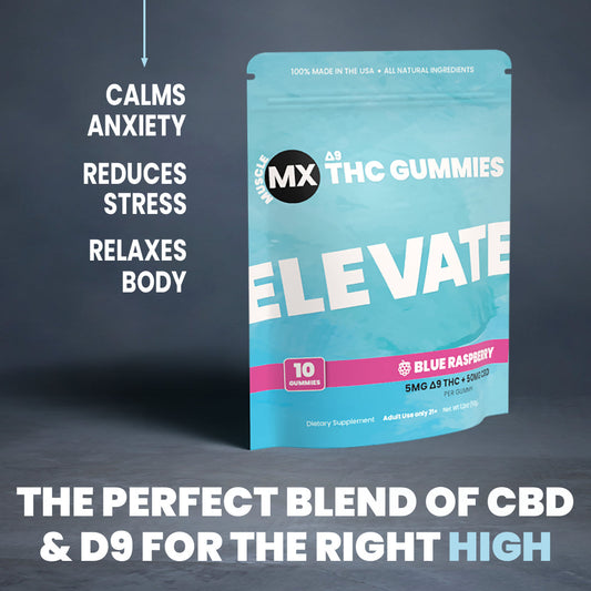 Elevate Delta 9 THC Gummies - 5MG - Blue Raspberry